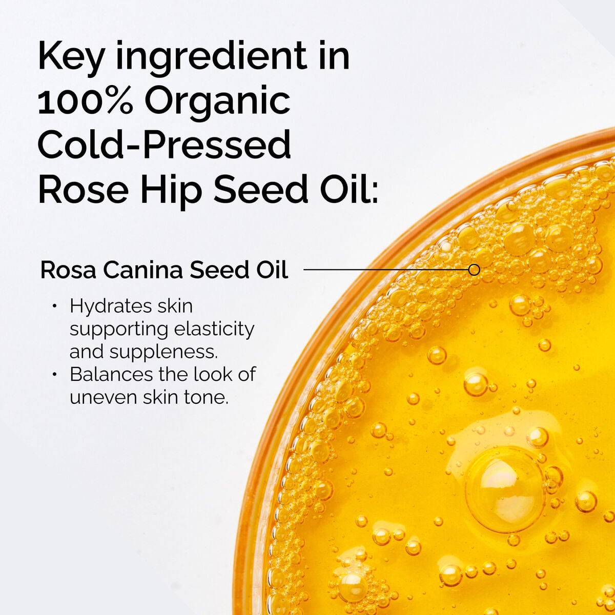 100-organic-cold-pressed-rose-hip-seed-oil-l7 FY25-D41247-ORD-Web-PDP-100-Rose-Hip-Oil-1x1-EN-2.jpg