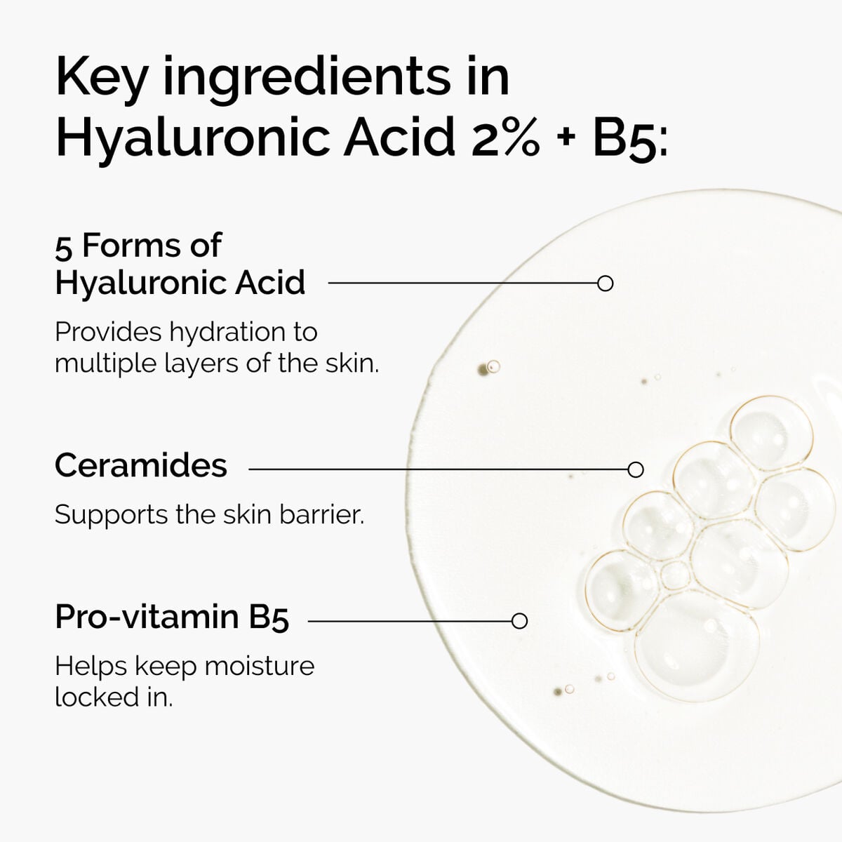 hyaluronic-acid-2-b5-with-ceramides-e3 ord-hyaluronic-acid-2pct-b5-hydrating-serum-ingredients-graphic.jpg